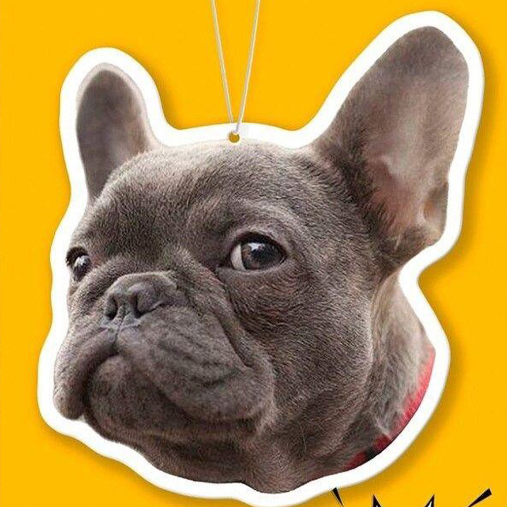1PC Custom PMMA Car Hanger - P - Personalized Engraved Gift reseña y precio