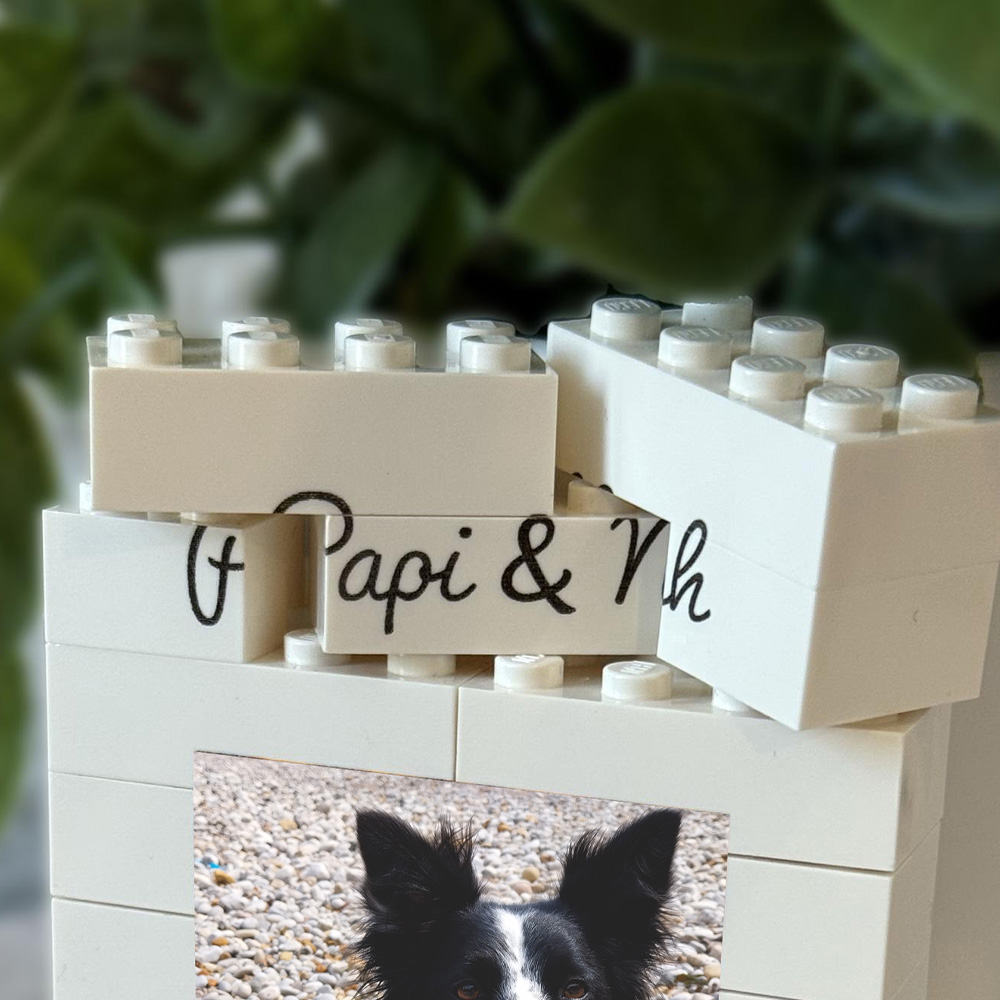 1PC Custom Pet Building Blocks - Personalized Engraved Gift reseña y precio